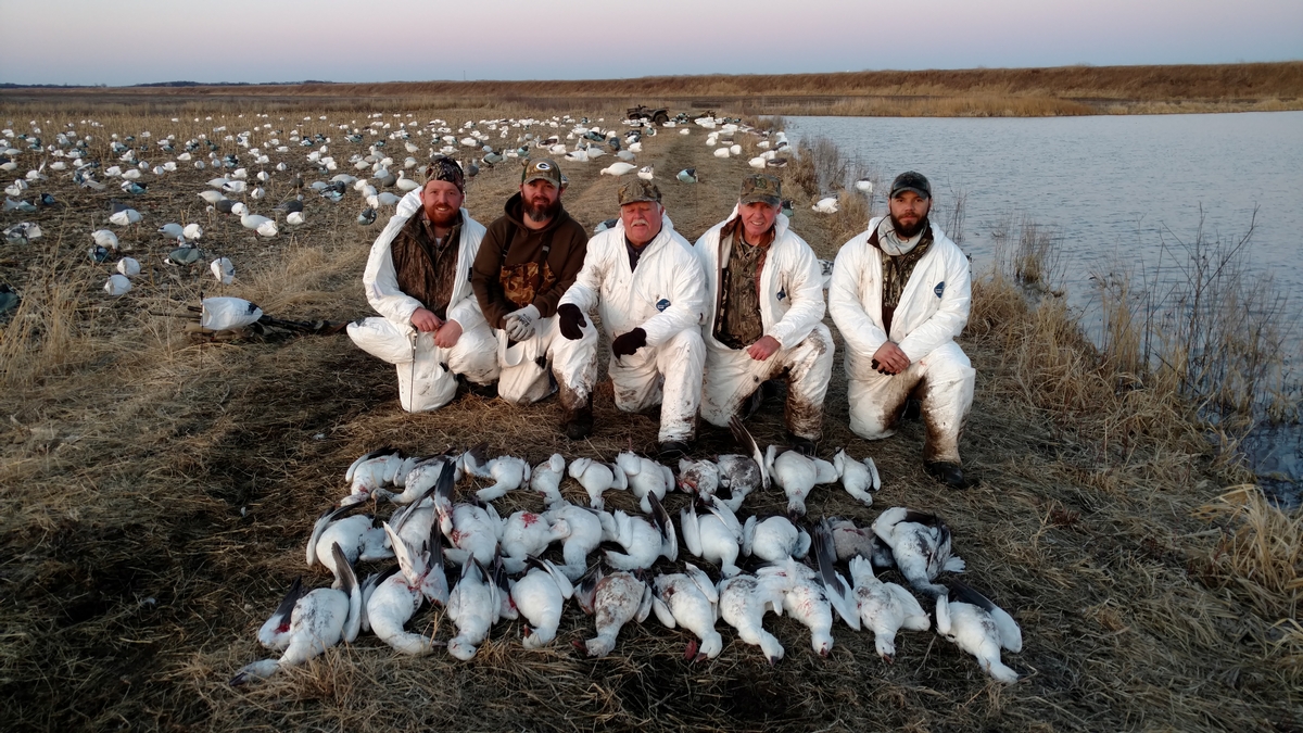 Missouri Snow Goose Hunting Photo